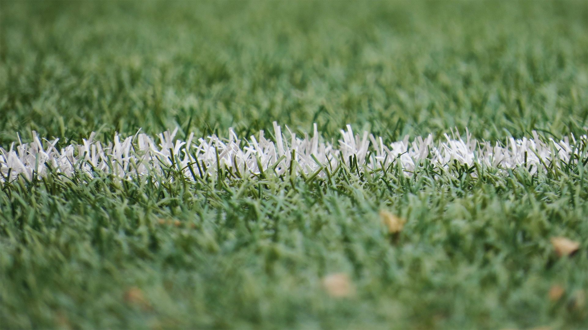 White sideline of a soccer field.